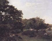 Frederic Bazille Forest of Fontainebleau (mk06) oil on canvas